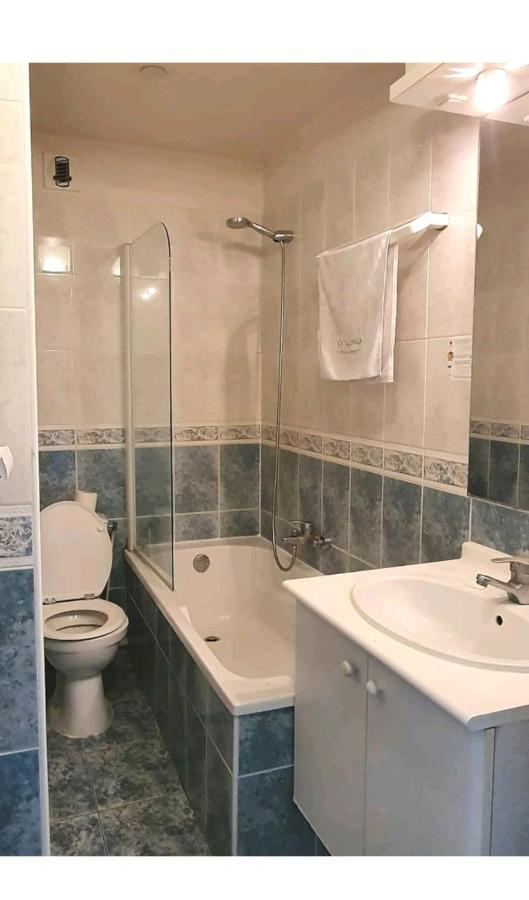 Avec Piscine, 100m Et Hypercentre Appartement *